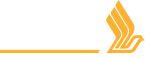Singapore Airlines